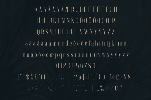 Anteric Font - Preview 4