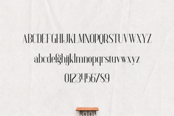 Baleine Font - Preview 1