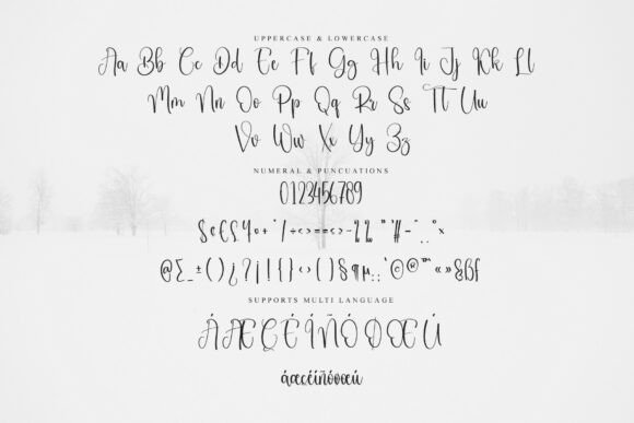 Birthday Font - Preview 5