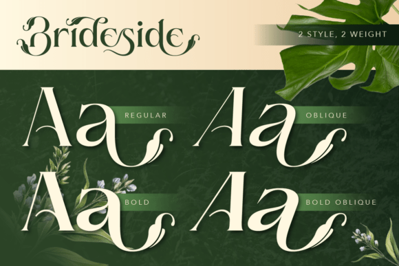 Brideside Font - Preview 3