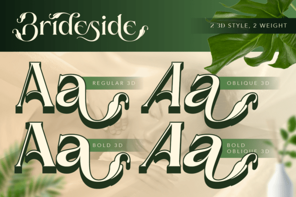 Brideside Font - Preview 5