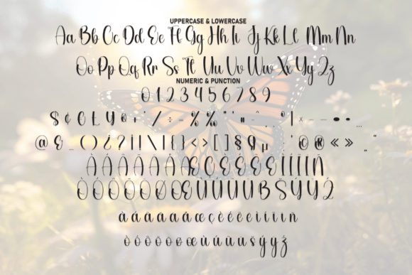 Butterfly Font - Preview 6