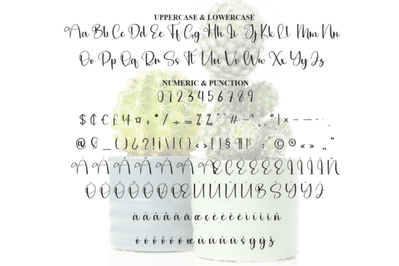 Cactus Font - Preview 6