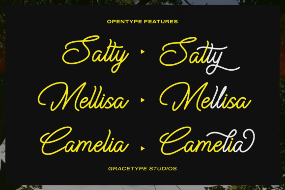 Cauloid Font PNG with transparent background - Preview 5