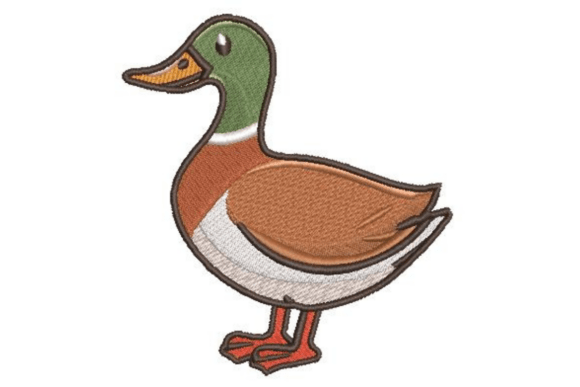 Classic Mallard Duck