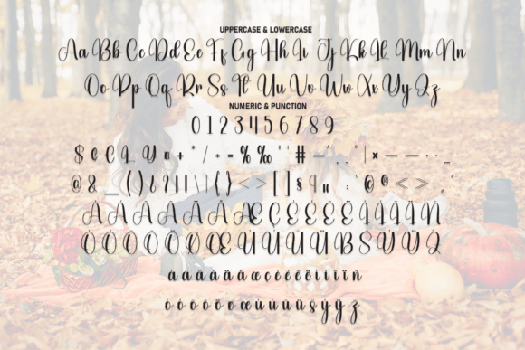 Holiday Autumn Font PNG with transparent background - Preview 6