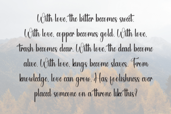 Amsterdam Font - Preview 5
