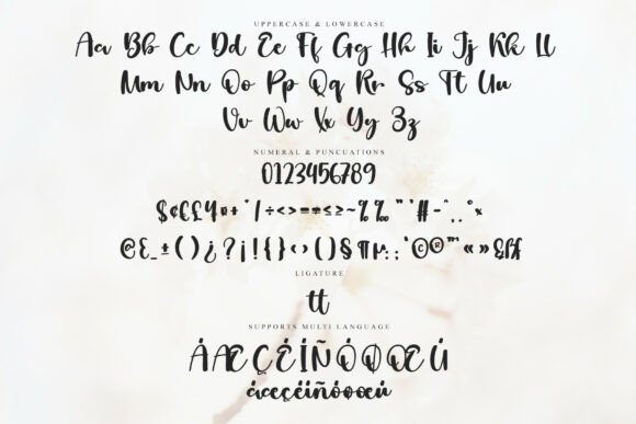 Biscuit Signature Font - Preview 5