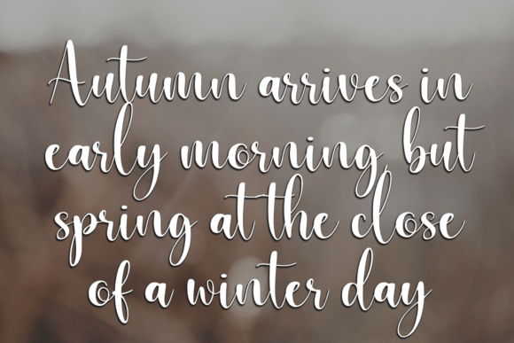 Butterlove Font - Preview 4