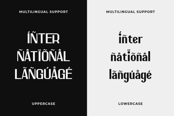 Cemmani Pro Font - Preview 3