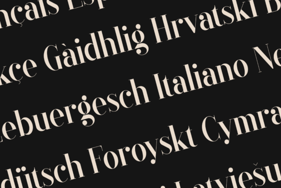 Black Goose Font - Preview 2