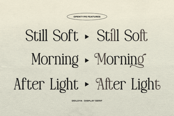 Deiloya Font - Preview 4