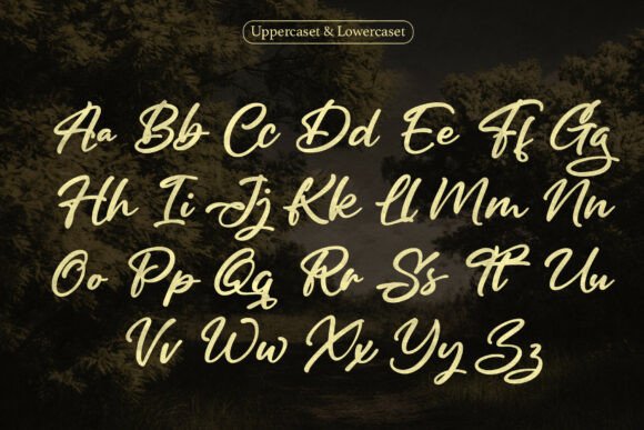 Dignetta Font PNG with transparent background - Preview 2