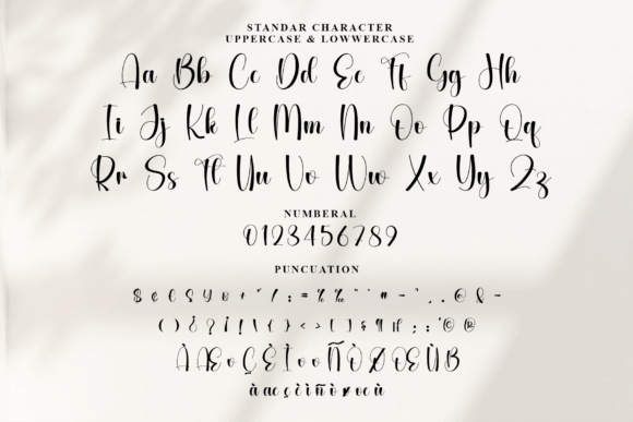 Family Calligraphy Font - Preview 6