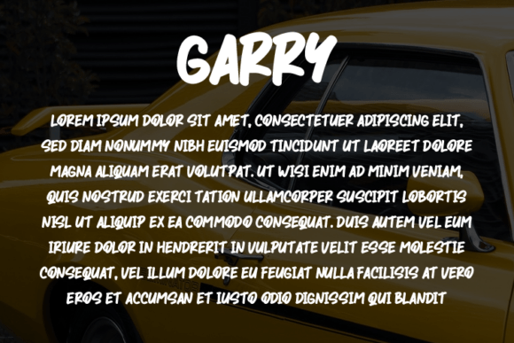 Garry Font - Preview 2
