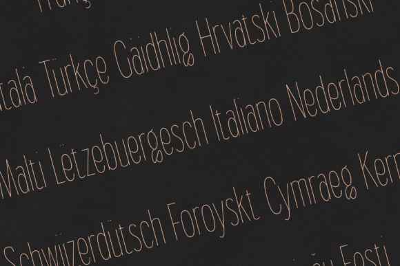 Gorga Headline Font - Preview 2