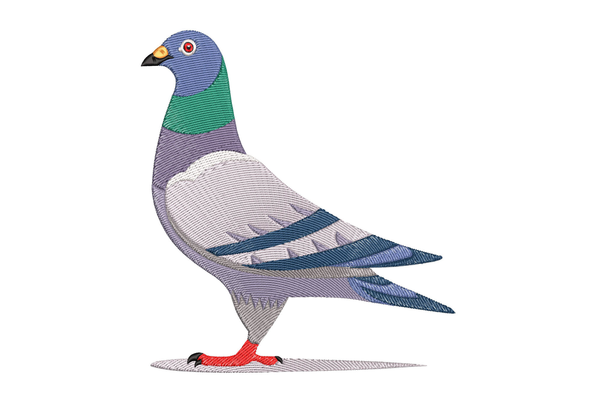 Pigeon Bird