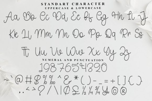 Alignment Font - Preview 3