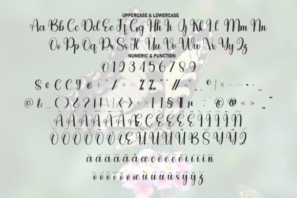 Butterfly Font - Preview 6