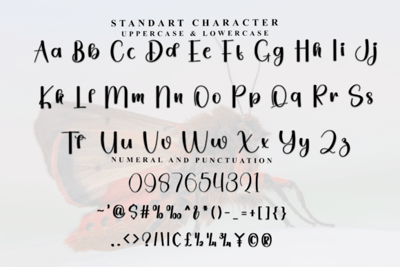 Daily Font - Preview 4