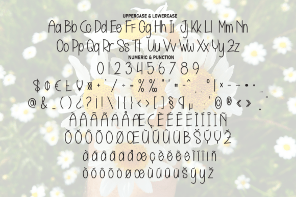 Happy Daisy Font - Preview 6