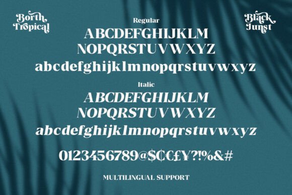 Borth Tropical Font - Preview 3