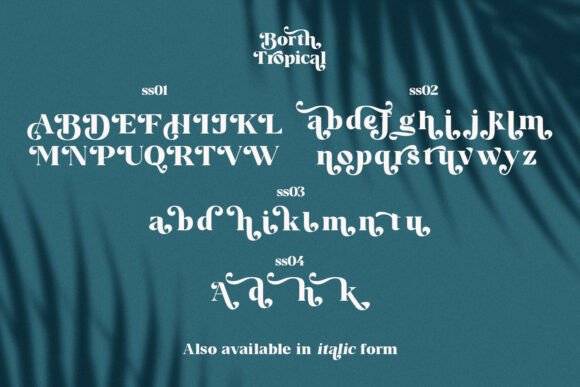 Borth Tropical Font - Preview 4
