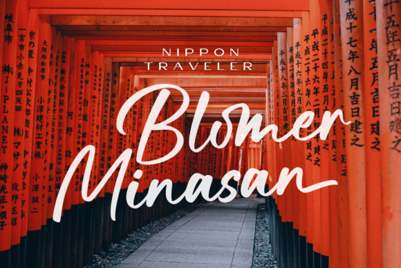 Nelagone Marker Font PNG with transparent background - Preview 5