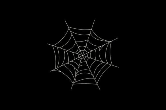 Spider Web