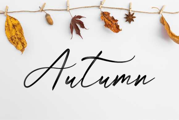 Angelica Austin Font - Preview 2