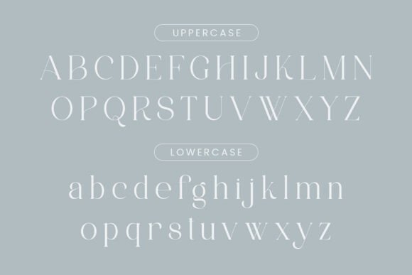 Avakine Font - Preview 5