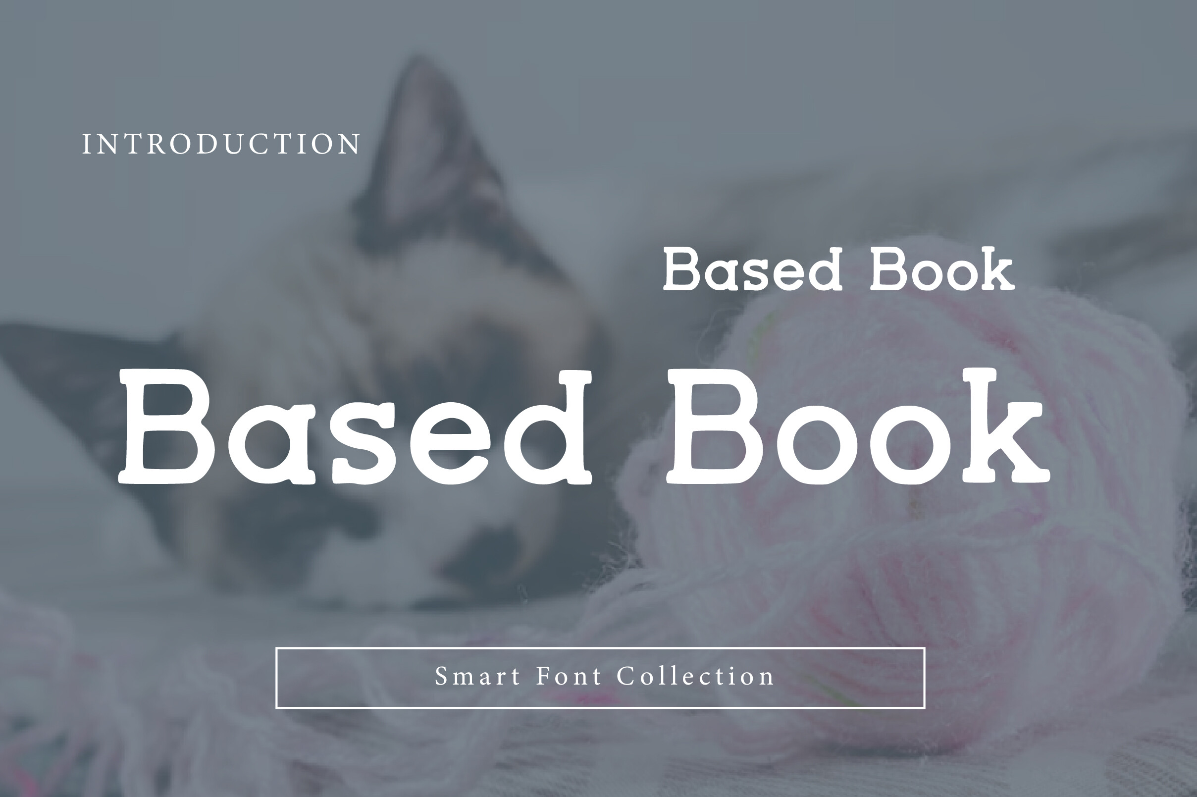 Based Book preview: bold friendly serif display