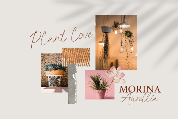 Belrose Cavellier Duo Font - Preview 1