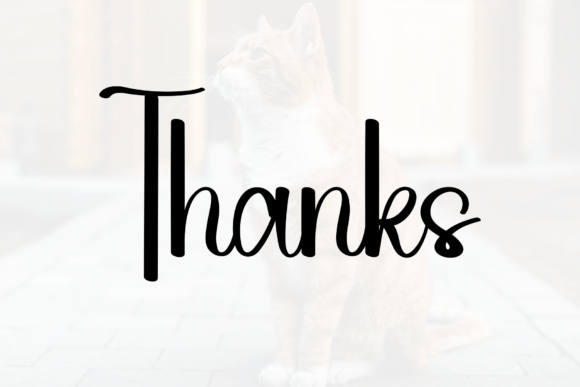 Delighting Font - Preview 4