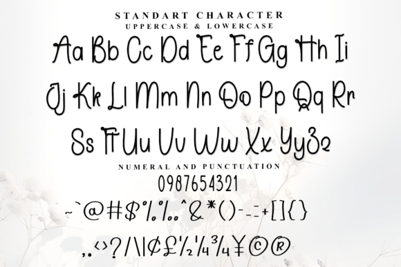 Elegant Autography Font - Preview 4