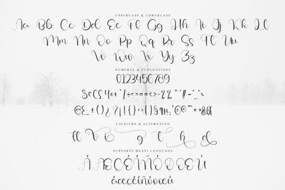 Giovani Writing Font - Preview 5