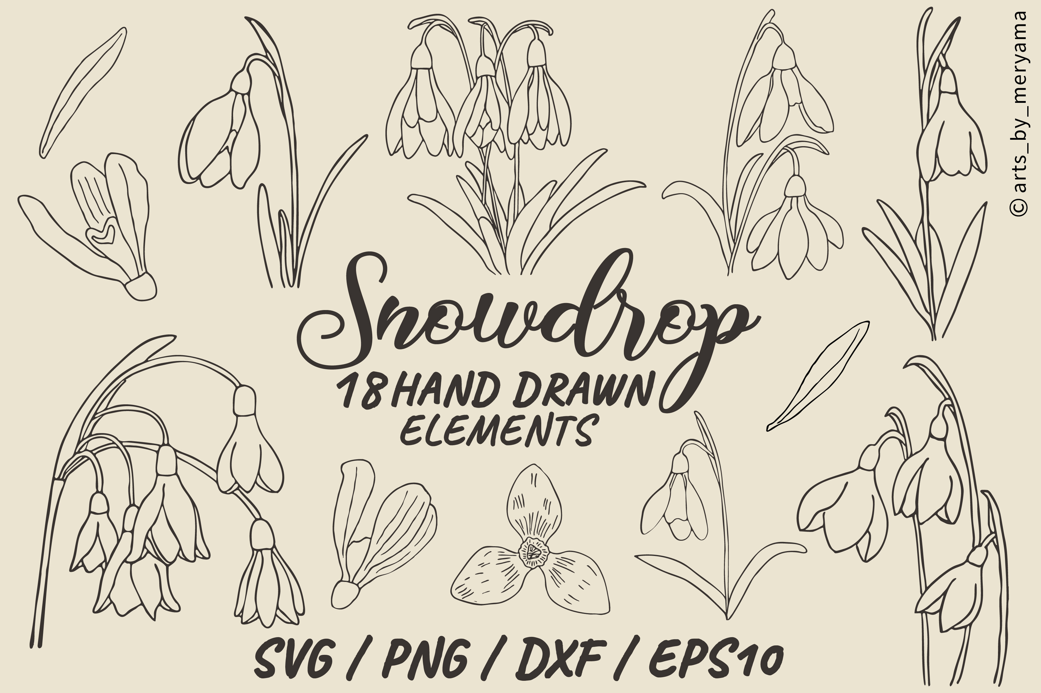 Hand Drawn Snowdrop Spring Flower SVG