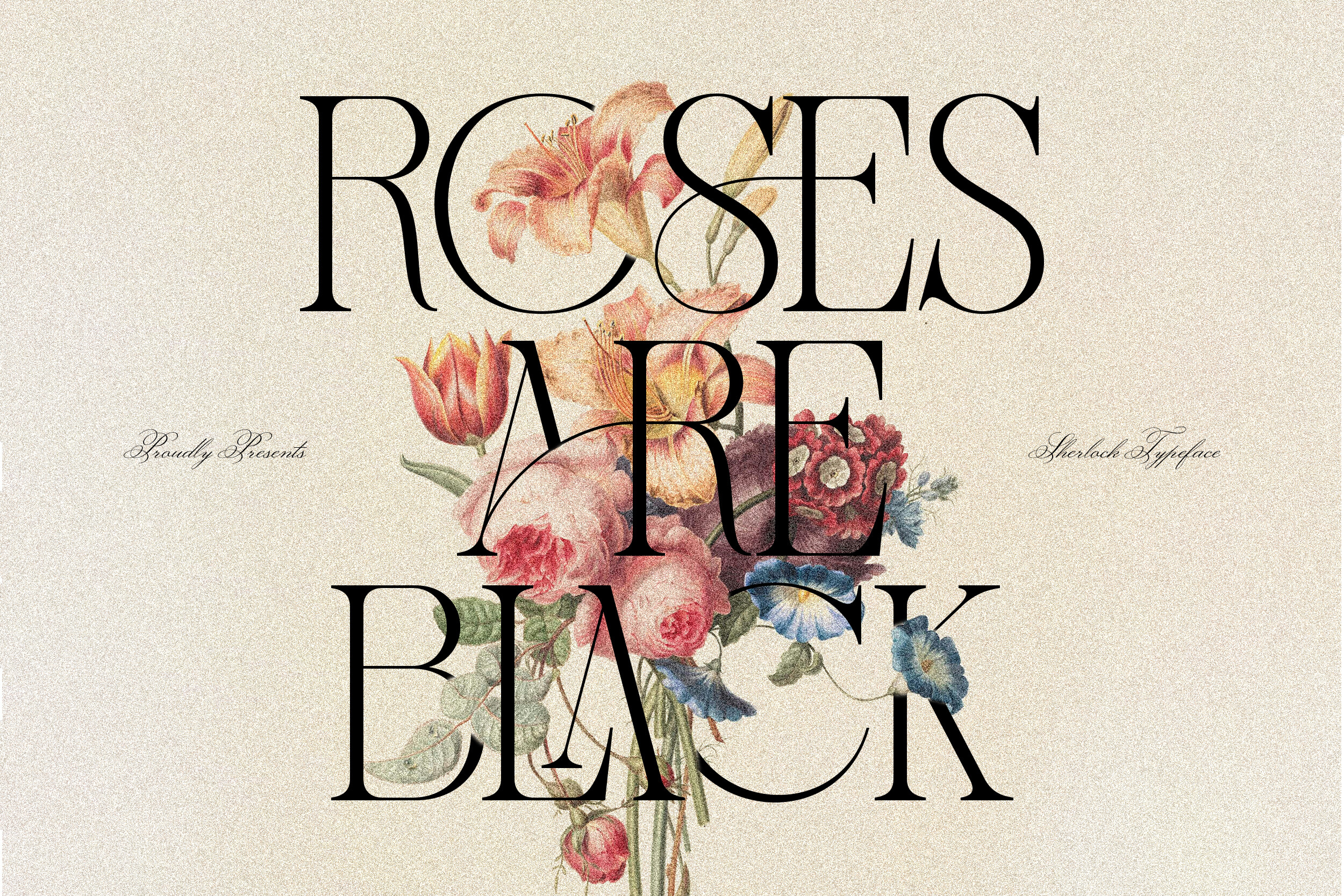 Headline Serif Bundle Font - photo 5