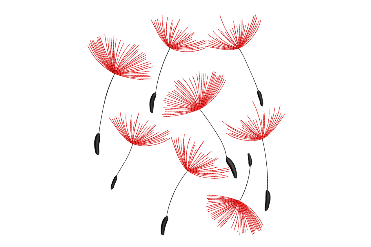 Red Dandelion Seeds