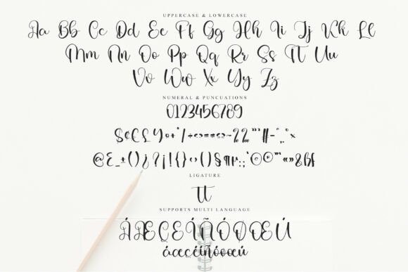 Savory Writing Font PNG with transparent background - Preview 5