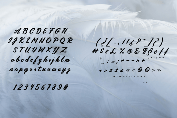 Aquifully Font - Preview 3