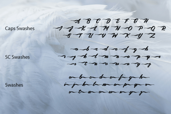 Aquifully Font - Preview 4