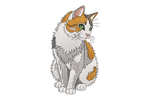Beautiful Cat