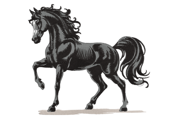 Black Horse