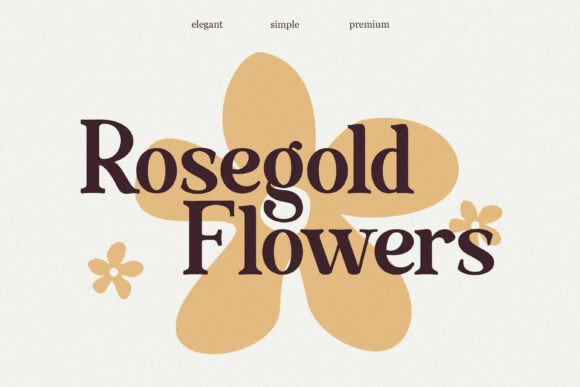 Exclusive Serif Retro Bundle Font PNG with transparent background - Preview 1
