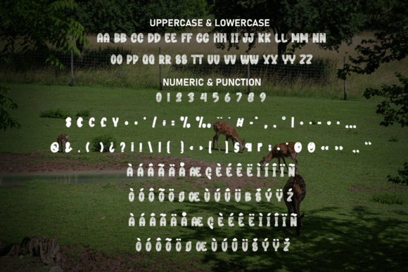 Park Zoo Font PNG with transparent background - Preview 6