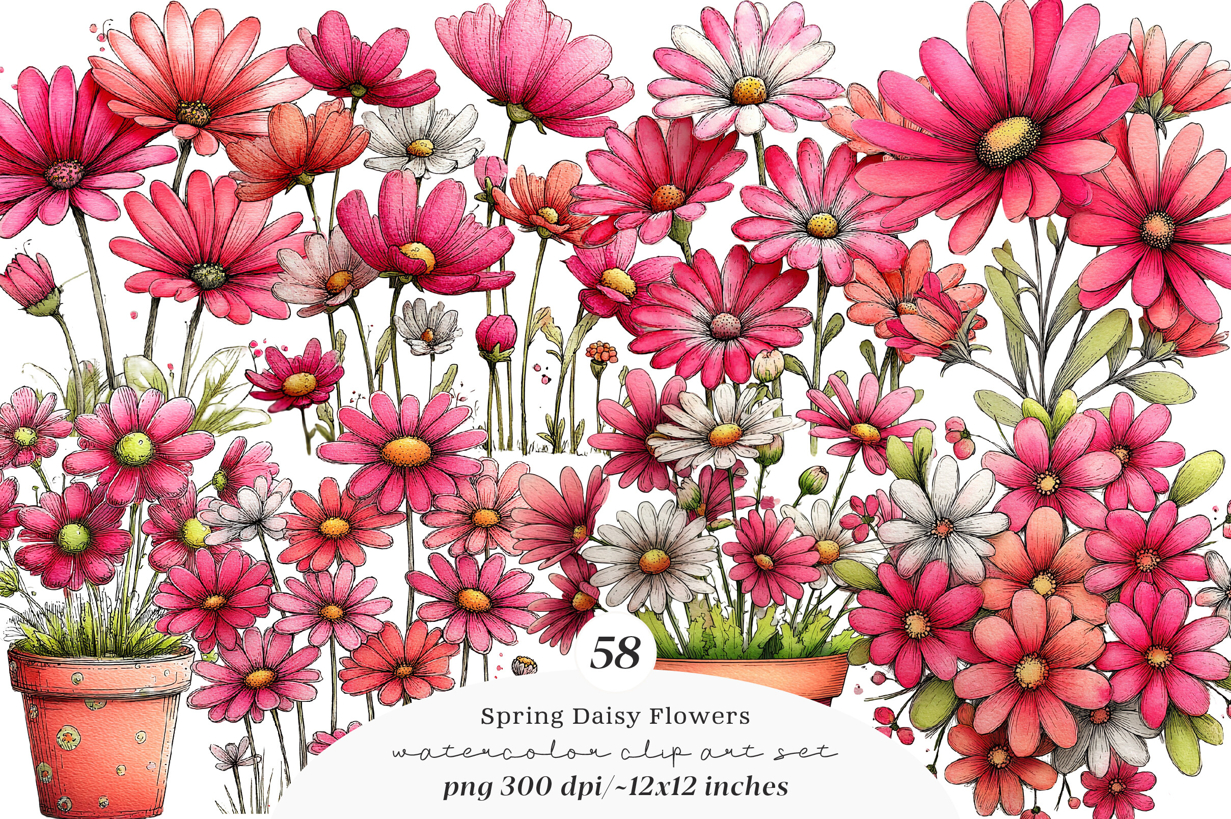 Spring Daisy Flower Clipart Graphic by SinaCreation · Creative Fabrica