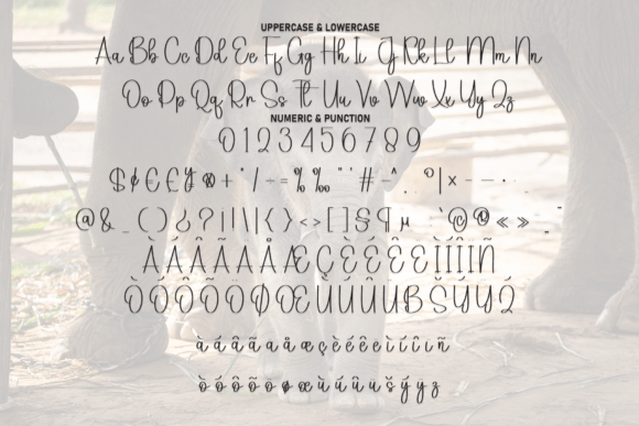 Baby Elephant Font - Preview 6