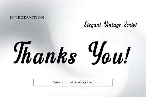 Elegant Vintage Script Font - Preview 2