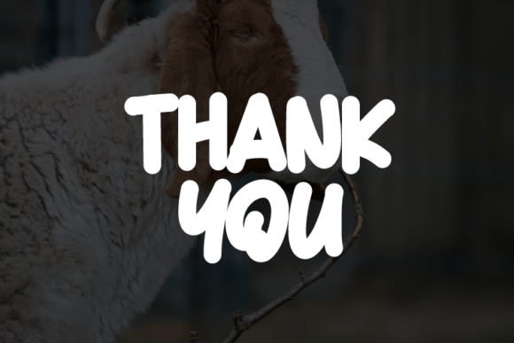Goat Zoo Font - Preview 3